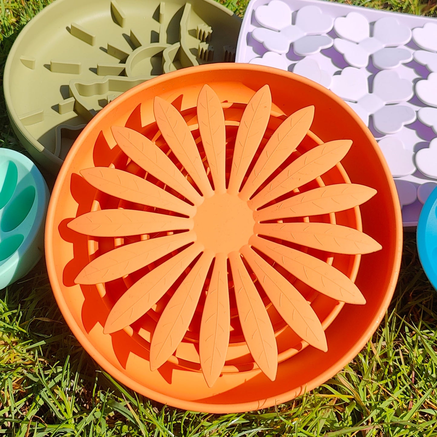 Flower Petal Slow Feeder