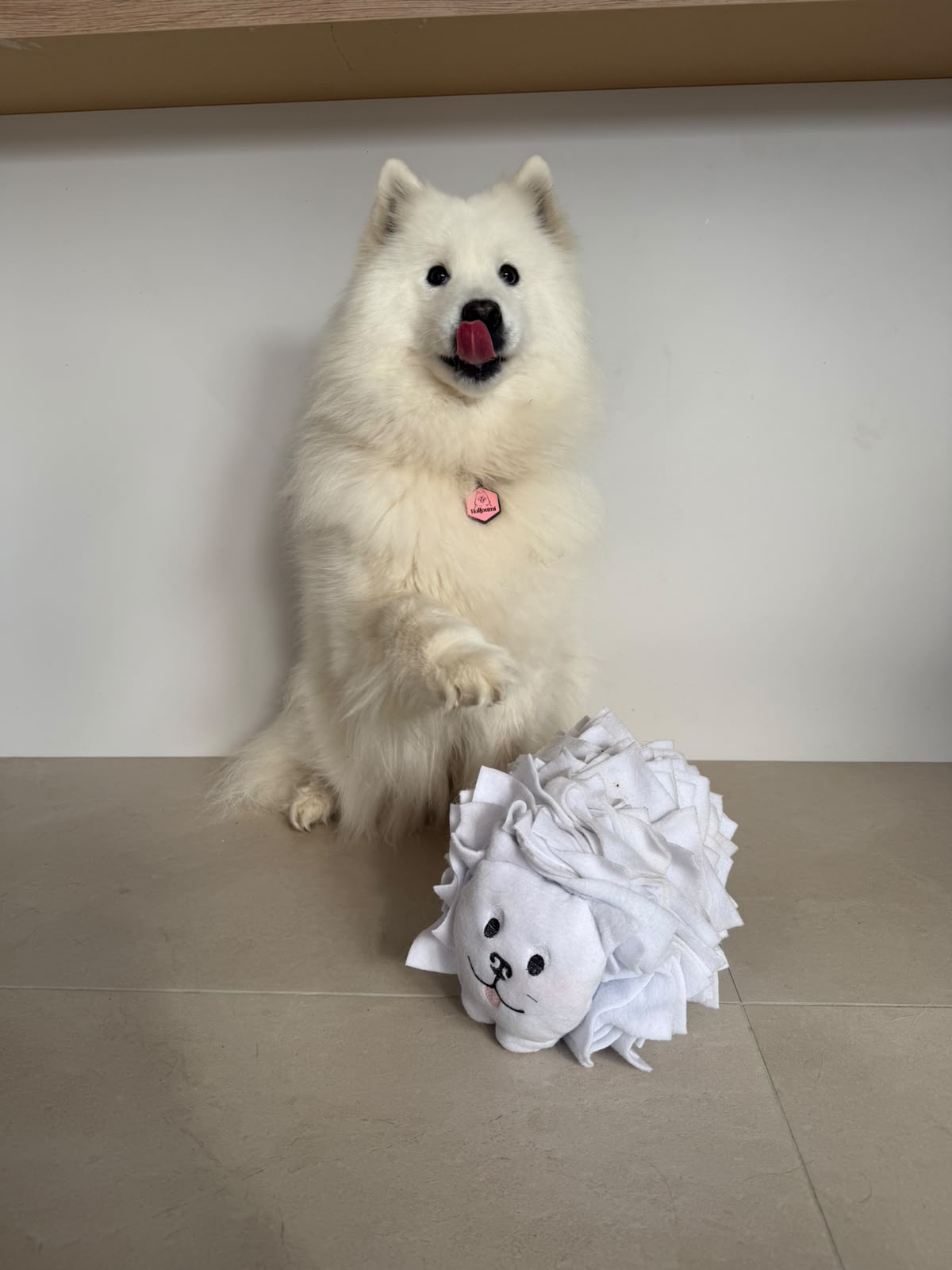 Halloumi Snuffle Land Cloud Pup