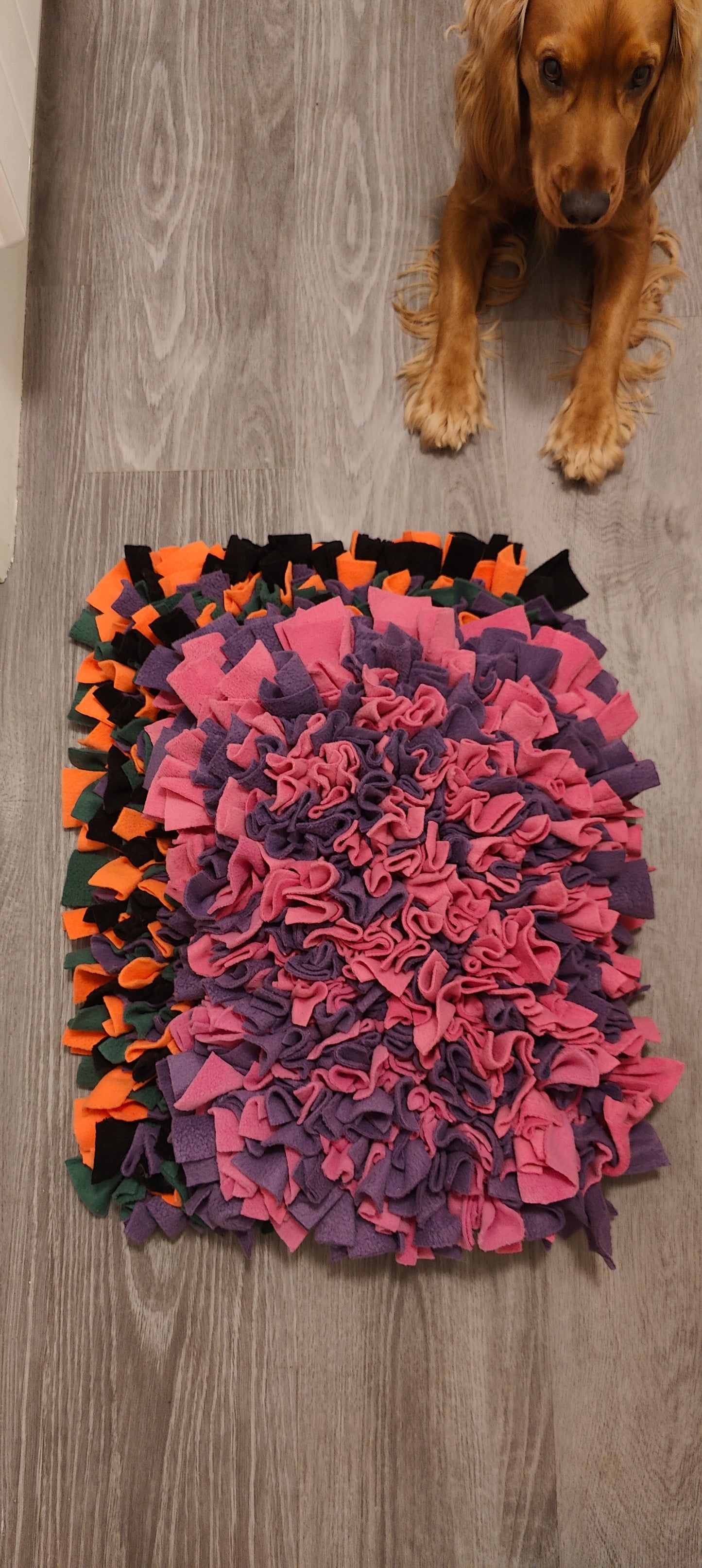 Little snuffle mat