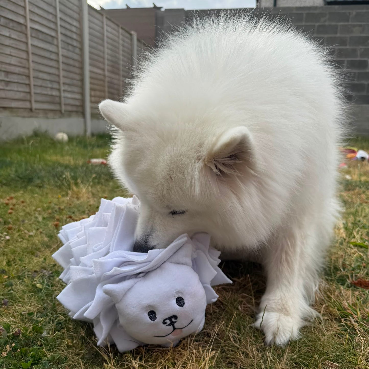 Halloumi Snuffle Land Cloud Pup