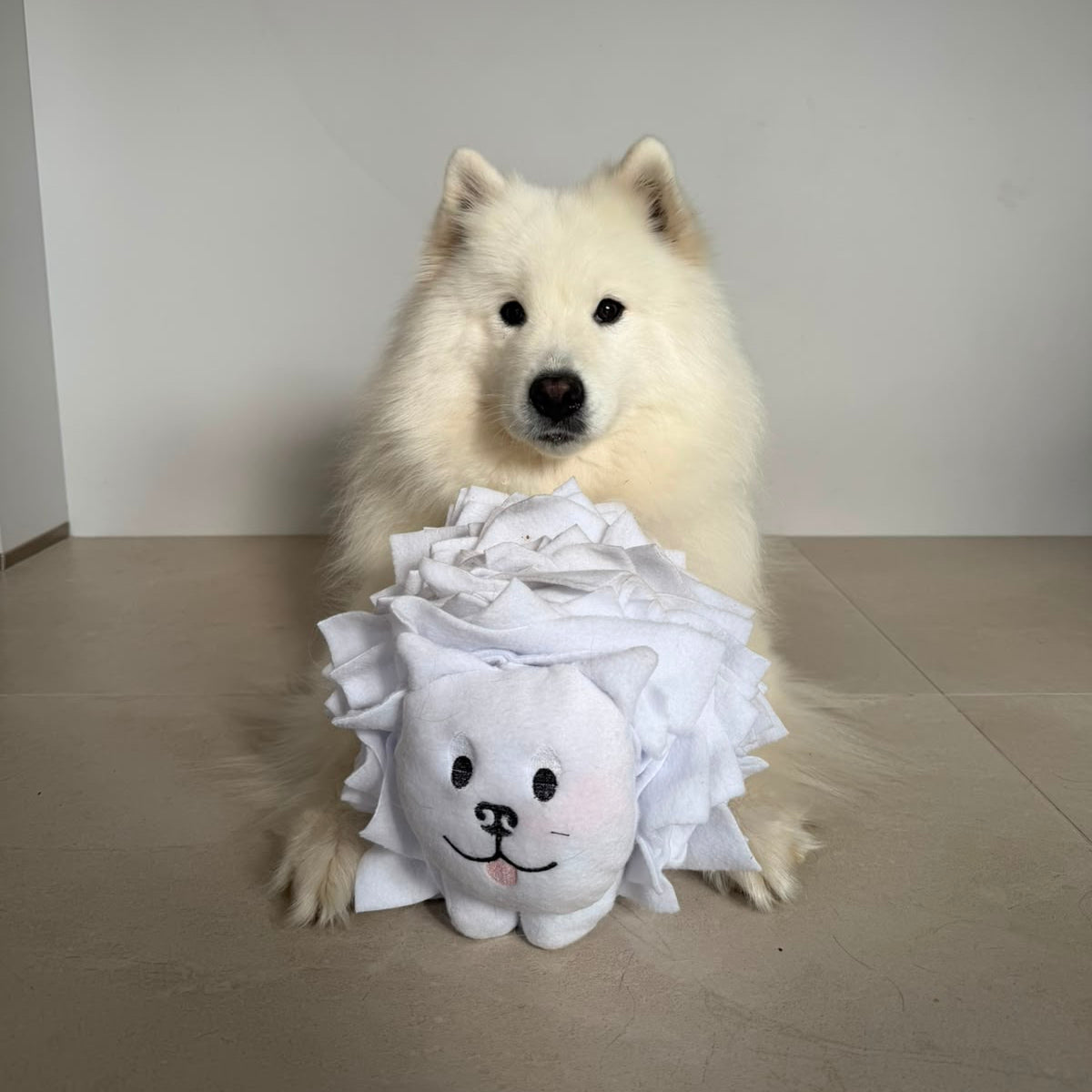 Halloumi Snuffle Land Cloud Pup