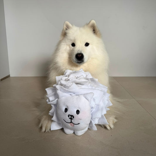 Halloumi Snuffle Land Cloud Pup