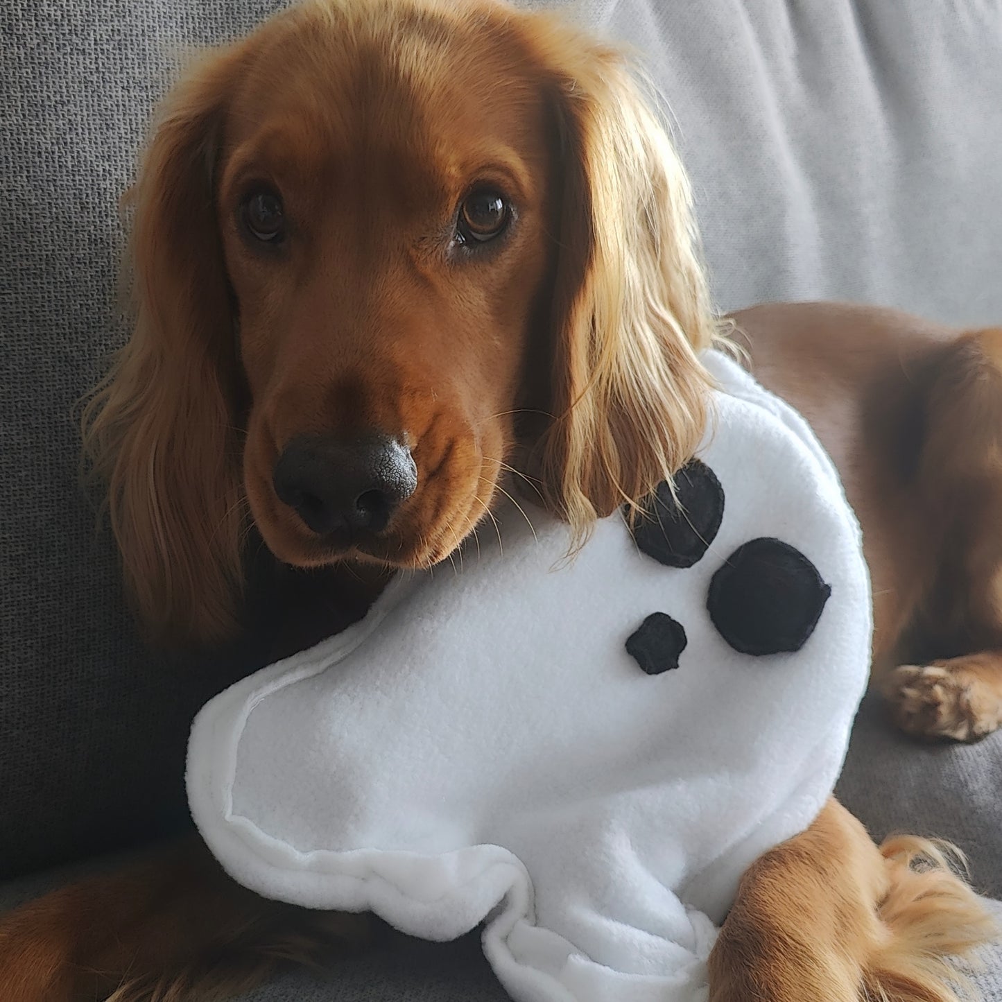 Ghostie tug toy