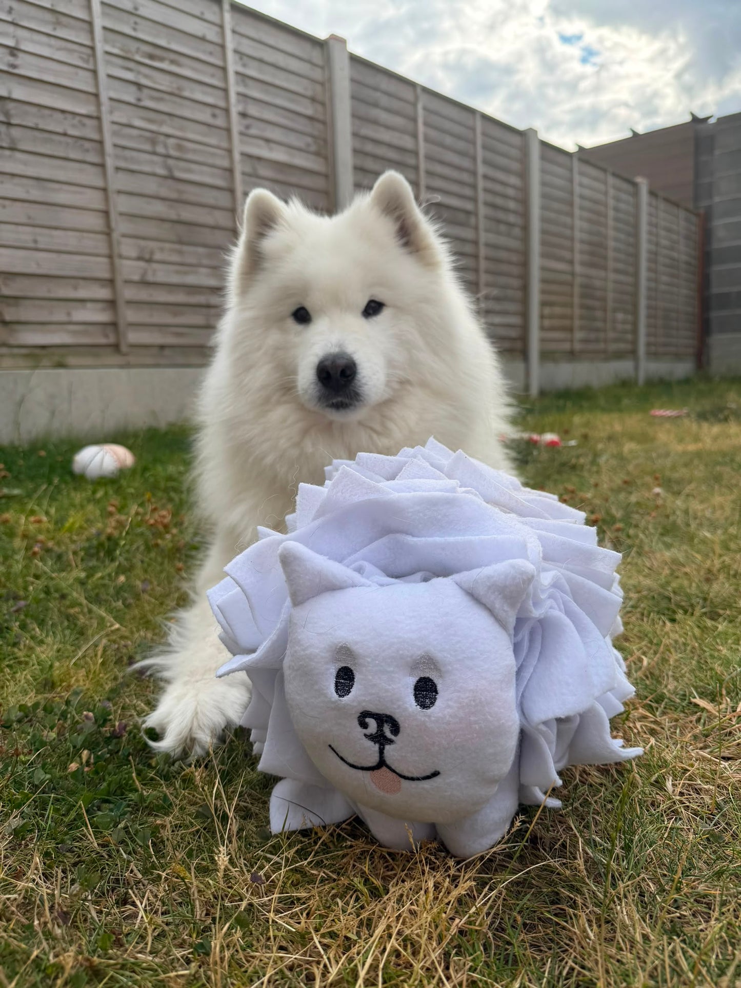Halloumi Snuffle Land Cloud Pup